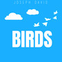 Birds (Explicit)