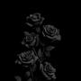 Black Roses (feat. Lil Za) [Explicit]