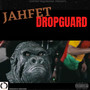 DropGuard (Explicit)