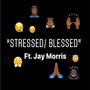 Stressed / Blessed (feat. Jay Morris) [Explicit]