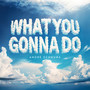What You Gonna Do