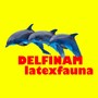 Delfinam