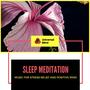 Sleep Meditation - Music For Stress Relief And Positive Mind