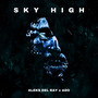 Sky High