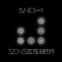 SENSES GEOMETRY