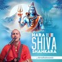 Hara Shiva Shankara