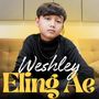 Eling Ae (Acoustic)