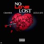 NO LOVE LOST