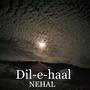 Dil-e-Haal