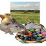 easter egg (feat. youngcannabis69) [Explicit]