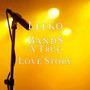 A True Love Story (Explicit)