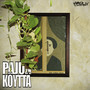 Pajunköyttä