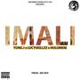 Imali (feat. Lucyskillzz & Hulumeni) [Explicit]