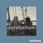 cerebellum