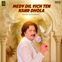 Medy Dil Vich Ten Kanr Dhola