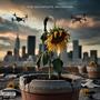 Flowers In May (Explicit)