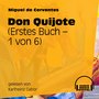 Don Quijote (Erstes Buch) [1 von 6]