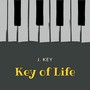 Key of Life