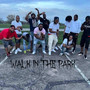 Walk in the Park (Explicit)