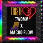 Triste (feat. Macho Flow) [Explicit]