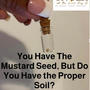 You Have The Mustard Seed, But Do You Have The Proper Soil?