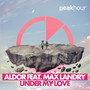 Under My Love feat Max Landry