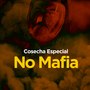 No Mafia