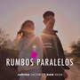 Rumbos Paralelos (feat. Dan Silva)