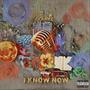 I Know Now (Explicit)