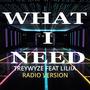 What I Need (feat. Liliia Kysil) [Radio Edit]