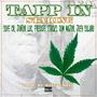 Tapp in (feat. joey solano, sove cr, junior loc, freddie stacks, dom major & misfit soto) [Explicit]