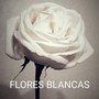 Flores Blancas