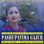 Pashupatima Gajur