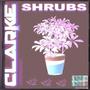 SHRUBS (Explicit)