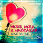 Love is the Answer 2011 Remixes