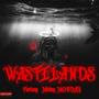 Wastelands (feat. Mickey MONDAY) [Explicit]