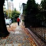 My Autumn Walk