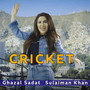 Cricket