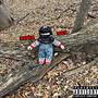 PAPER BOY (Explicit)