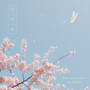 나비야 (To the cherry blossoms)