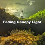 Fading Canopy Light