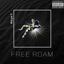 Free Roam (Explicit)