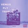 VENUS FLY TRAP (Explicit)