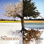 The Seasons