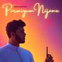 Parvaiyum Nijame (feat. DJ John)