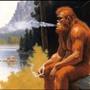 Sasquatch Soul Loops