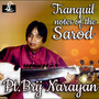 Tranquil Notes of the Sarod