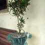 Kesabaranmu