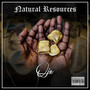 Natural Resources (Explicit)
