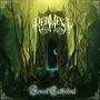 Forest Cathedral (Explicit)